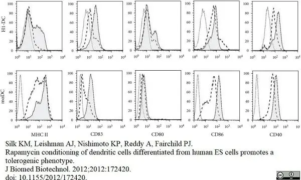 Anti Human CD80 Antibody, clone MEM-233 gallery image 2