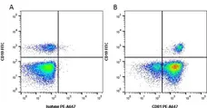 Anti Human CD81 Antibody, clone 1D6 gallery image 1