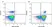 Anti Human CD81 Antibody, clone 1D6 thumbnail image 1