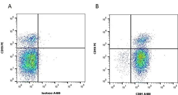 Anti Human CD81 Antibody, clone 1D6 gallery image 2