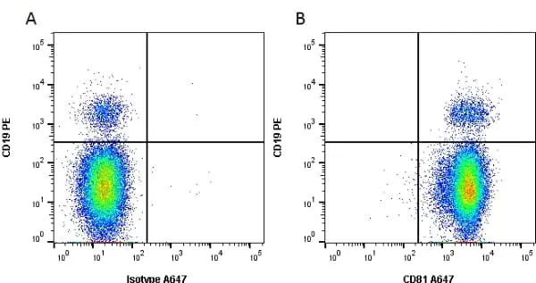Anti Human CD81 Antibody, clone 1D6 gallery image 3