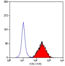 Anti Human CD83 Antibody, clone HB15e gallery image 1