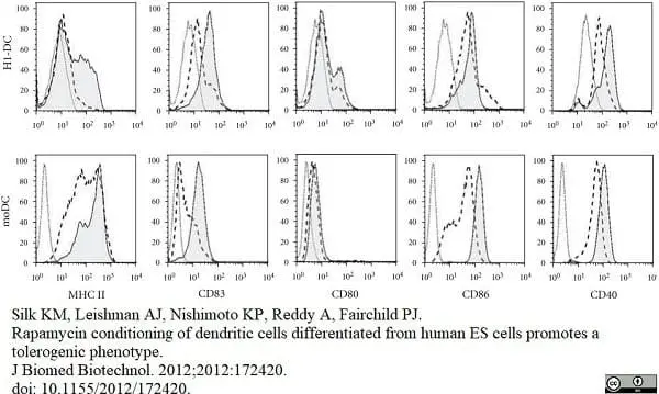 Anti Human CD83 Antibody, clone HB15e gallery image 11