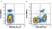 Anti Human CD85j Antibody, clone 4F9 thumbnail image 2