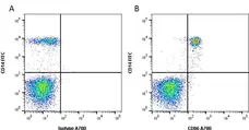 Anti Human CD86 Antibody, clone BU63 gallery image 1