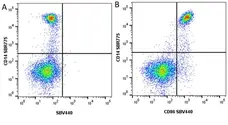 Anti Human CD86 Antibody, clone BU63 gallery image 10