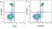Anti Human CD86 Antibody, clone BU63 thumbnail image 10