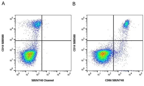 Anti Human CD86 Antibody, clone BU63 gallery image 13