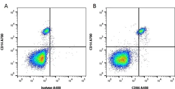 Anti Human CD86 Antibody, clone BU63 gallery image 2