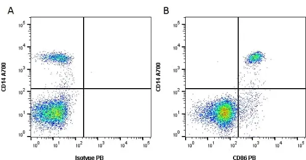 Anti Human CD86 Antibody, clone BU63 gallery image 3