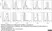 Anti Human CD86 Antibody, clone BU63 thumbnail image 6
