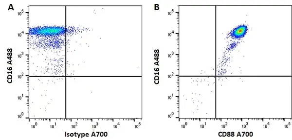 Anti Human CD88 Antibody, clone P12/1 gallery image 2