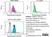 Anti Human CD88 Antibody, clone P12/1 thumbnail image 3