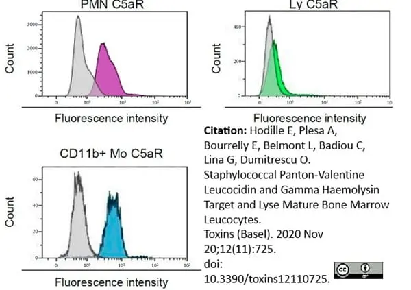 Anti Human CD88 Antibody, clone P12/1 gallery image 3