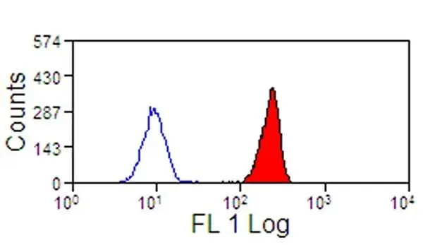 Anti Human CD88 Antibody, clone S5/1 gallery image 3