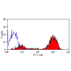 Anti Human CD9 Antibody, clone Bu16 gallery image 1