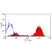 Anti Human CD9 Antibody, clone Bu16 thumbnail image 1