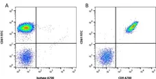 Anti Human CD9 Antibody, clone MM2/57 gallery image 1