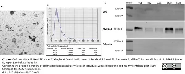 Anti Human CD9 Antibody, clone MM2/57 gallery image 10
