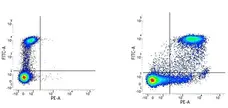 Anti Human CD9 Antibody, clone MM2/57 gallery image 2
