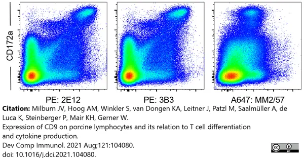 Anti Human CD9 Antibody, clone MM2/57 gallery image 9