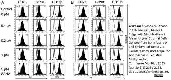Anti Human CD90 Antibody, clone F15-42-1 gallery image 11