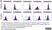 Anti Human CD90 Antibody, clone F15-42-1 thumbnail image 14
