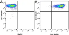 Anti Human CD90 Antibody, clone F15-42-1 gallery image 15