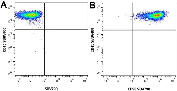 Anti Human CD90 Antibody, clone F15-42-1 gallery image 15