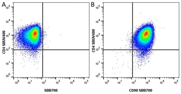 Anti Human CD90 Antibody, clone F15-42-1 gallery image 16