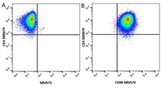 Anti Human CD90 Antibody, clone F15-42-1 gallery image 17