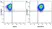 Anti Human CD90 Antibody, clone F15-42-1 thumbnail image 17