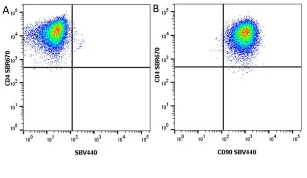 Anti Human CD90 Antibody, clone F15-42-1 gallery image 18