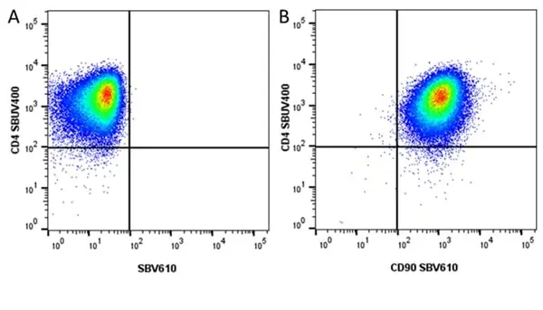 Anti Human CD90 Antibody, clone F15-42-1 gallery image 19