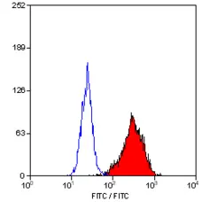 Anti Human CD90 Antibody, clone F15-42-1 gallery image 2