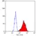 Anti Human CD90 Antibody, clone F15-42-1 thumbnail image 2