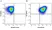 Anti Human CD90 Antibody, clone F15-42-1 thumbnail image 26