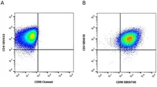 Anti Human CD90 Antibody, clone F15-42-1 gallery image 27