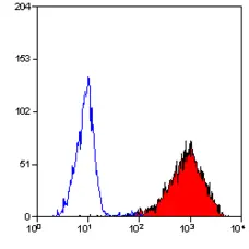 Anti Human CD90 Antibody, clone F15-42-1 gallery image 3