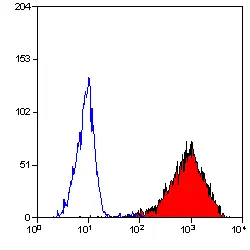 Anti Human CD90 Antibody, clone F15-42-1 gallery image 3