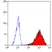 Anti Human CD90 Antibody, clone F15-42-1 thumbnail image 3