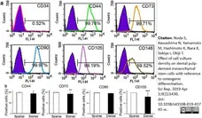 Anti Human CD90 Antibody, clone F15-42-1 gallery image 5