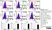 Anti Human CD90 Antibody, clone F15-42-1 thumbnail image 5