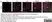 Anti Human CD90 Antibody, clone F15-42-1 thumbnail image 8