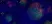 Anti Human CD91 Antibody, clone A2Mr alpha-2 thumbnail image 5