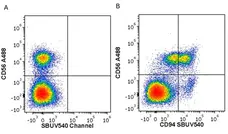 Anti Human CD94 Antibody, clone DX22 gallery image 5