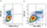Anti Human CD94 Antibody, clone DX22 thumbnail image 8