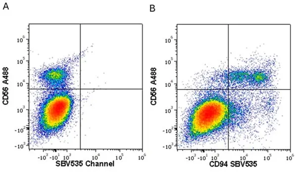 Anti Human CD94 Antibody, clone DX22 gallery image 8