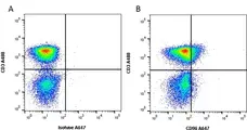 Anti Human CD96 Antibody, clone NK92.39 gallery image 1