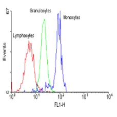 Anti Human CD97 Antibody, clone MEM-180 gallery image 1